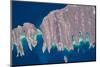 Satellite view of Isla del Espiritu and Isla Partida in Gulf of California, Baja California Sur...-null-Mounted Photographic Print