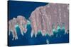 Satellite view of Isla del Espiritu and Isla Partida in Gulf of California, Baja California Sur...-null-Stretched Canvas
