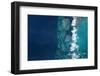 Satellite view of islands, Bahamas-null-Framed Photographic Print