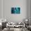 Satellite view of islands, Exuma, Bahamas-null-Stretched Canvas displayed on a wall