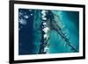 Satellite view of islands, Exuma, Bahamas-null-Framed Photographic Print