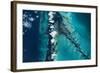 Satellite view of islands, Exuma, Bahamas-null-Framed Photographic Print