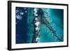 Satellite view of islands, Exuma, Bahamas-null-Framed Photographic Print