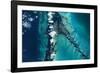 Satellite view of islands, Exuma, Bahamas-null-Framed Photographic Print