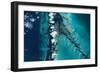 Satellite view of islands, Exuma, Bahamas-null-Framed Photographic Print