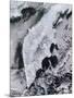 Satellite View of Kamchatka Peninsula, Eastern Russia-Stocktrek Images-Mounted Photographic Print