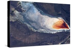 Satellite view of Lake Albert, Lake County, Oregon, USA-null-Stretched Canvas