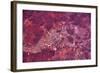 Satellite view of Lake Carnegie, Little Sandy Desert, Western Australia, Australia-null-Framed Photographic Print