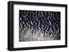 Satellite view of Lake Chad in Chad and Cameroon-null-Framed Photographic Print