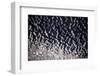 Satellite view of Lake Chad in Chad and Cameroon-null-Framed Photographic Print