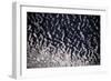 Satellite view of Lake Chad in Chad and Cameroon-null-Framed Photographic Print