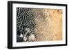 Satellite view of Lake Chad near Diffa, Niger-null-Framed Photographic Print