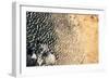 Satellite view of Lake Chad near Diffa, Niger-null-Framed Photographic Print