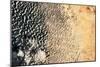 Satellite view of Lake Chad near Diffa, Niger-null-Mounted Photographic Print