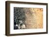 Satellite view of Lake Chad near Diffa, Niger-null-Framed Photographic Print