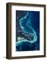 Satellite view of Lake Ellesmere and Pigeon Bay at Banks Peninsula near Christchurch, New Zealand-null-Framed Photographic Print