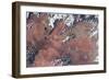 Satellite view of Lake Powell and Colorado River, Glen Canyon, Utah-Arizona, USA-null-Framed Photographic Print