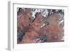 Satellite view of Lake Powell and Colorado River, Glen Canyon, Utah-Arizona, USA-null-Framed Photographic Print