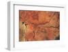 Satellite view of Lake Powell, Grand Canyon, Arizona, USA-null-Framed Photographic Print