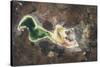 Satellite view of Lake Urmia in East Azerbaijan, Iran-null-Stretched Canvas