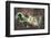 Satellite view of Lake Urmia in East Azerbaijan, Iran-null-Framed Photographic Print