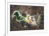 Satellite view of Lake Urmia in East Azerbaijan, Iran-null-Framed Photographic Print