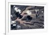 Satellite view of landscape, Borkou, Chad-null-Framed Photographic Print