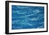 Satellite view of landscape near Santa Cruz, Bolivia-null-Framed Photographic Print