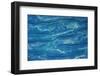 Satellite view of landscape near Santa Cruz, Bolivia-null-Framed Photographic Print