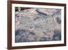 Satellite view of Las Vegas, Nevada, USA-null-Framed Photographic Print