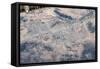 Satellite view of Las Vegas, Nevada, USA-null-Framed Stretched Canvas