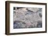 Satellite view of Las Vegas, Nevada, USA-null-Framed Photographic Print