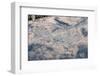 Satellite view of Las Vegas, Nevada, USA-null-Framed Photographic Print