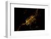 Satellite view of Las Vegas, Nevada, USA-null-Framed Photographic Print