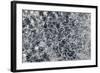 Satellite view of Michigan, USA-null-Framed Photographic Print