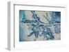 Satellite view of Mississippi River Delta, Louisiana, USA-null-Framed Photographic Print