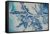 Satellite view of Mississippi River Delta, Louisiana, USA-null-Framed Stretched Canvas