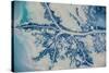 Satellite view of Mississippi River Delta, Louisiana, USA-null-Stretched Canvas