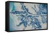 Satellite view of Mississippi River Delta, Louisiana, USA-null-Framed Stretched Canvas