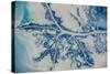 Satellite view of Mississippi River Delta, Louisiana, USA-null-Stretched Canvas