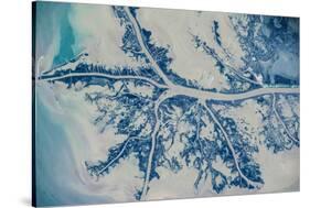 Satellite view of Mississippi River Delta, Louisiana, USA-null-Stretched Canvas