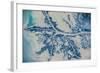 Satellite view of Mississippi River Delta, Louisiana, USA-null-Framed Photographic Print