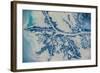 Satellite view of Mississippi River Delta, Louisiana, USA-null-Framed Photographic Print