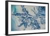 Satellite view of Mississippi River Delta, Louisiana, USA-null-Framed Photographic Print