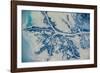 Satellite view of Mississippi River Delta, Louisiana, USA-null-Framed Photographic Print