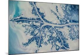 Satellite view of Mississippi River Delta, Louisiana, USA-null-Mounted Photographic Print