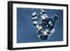 Satellite view of Montserrat Island, British Overseas Territory-null-Framed Photographic Print