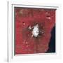 Satellite View of Mount Etna Emitting Plumes of Volcanic Gases-null-Framed Photographic Print