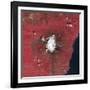 Satellite View of Mount Etna Emitting Plumes of Volcanic Gases-null-Framed Photographic Print