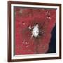 Satellite View of Mount Etna Emitting Plumes of Volcanic Gases-null-Framed Photographic Print